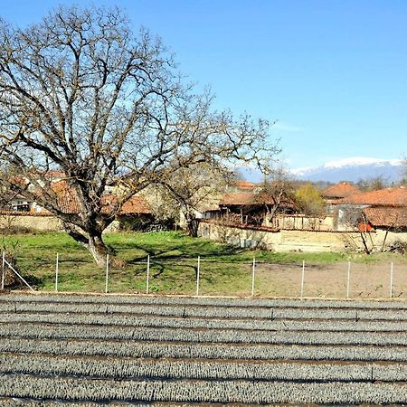 Вила В С. Габарево, Долината На Розите. Gabarevo ภายนอก รูปภาพ